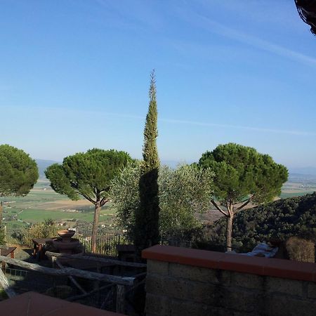 Locanda Mossa Dei Barbari Buriano  エクステリア 写真