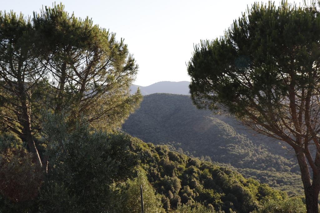 Locanda Mossa Dei Barbari Buriano  エクステリア 写真